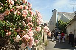 Vannes-Gilou-016.jpg Vannes-Gilou-016.jpg